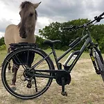 Abendsonne Naumburg (Saale)