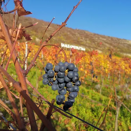 Abendsonne ناومبورغ