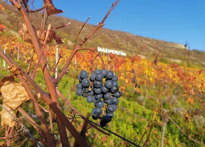 Abendsonne 萨勒河畔瑙姆堡