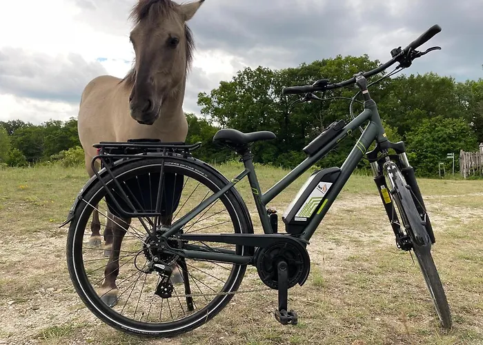 Abendsonne 萨勒河畔瑙姆堡