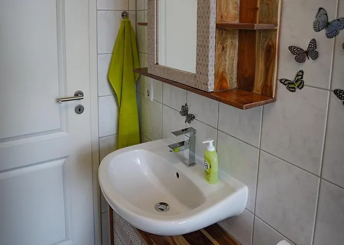 公寓 Abendsonne 萨勒河畔瑙姆堡